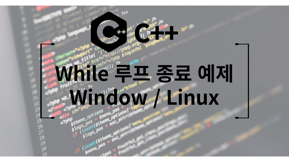 Linux와 Window에서 Ctrl + C로 루프 종료 예제 / Linux signal / Window conio